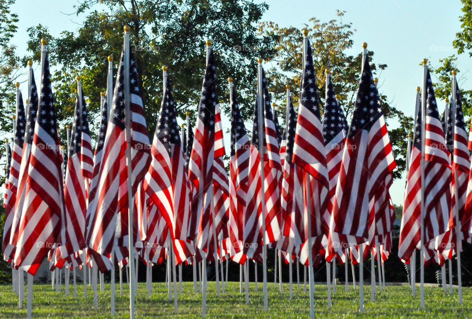 Flags