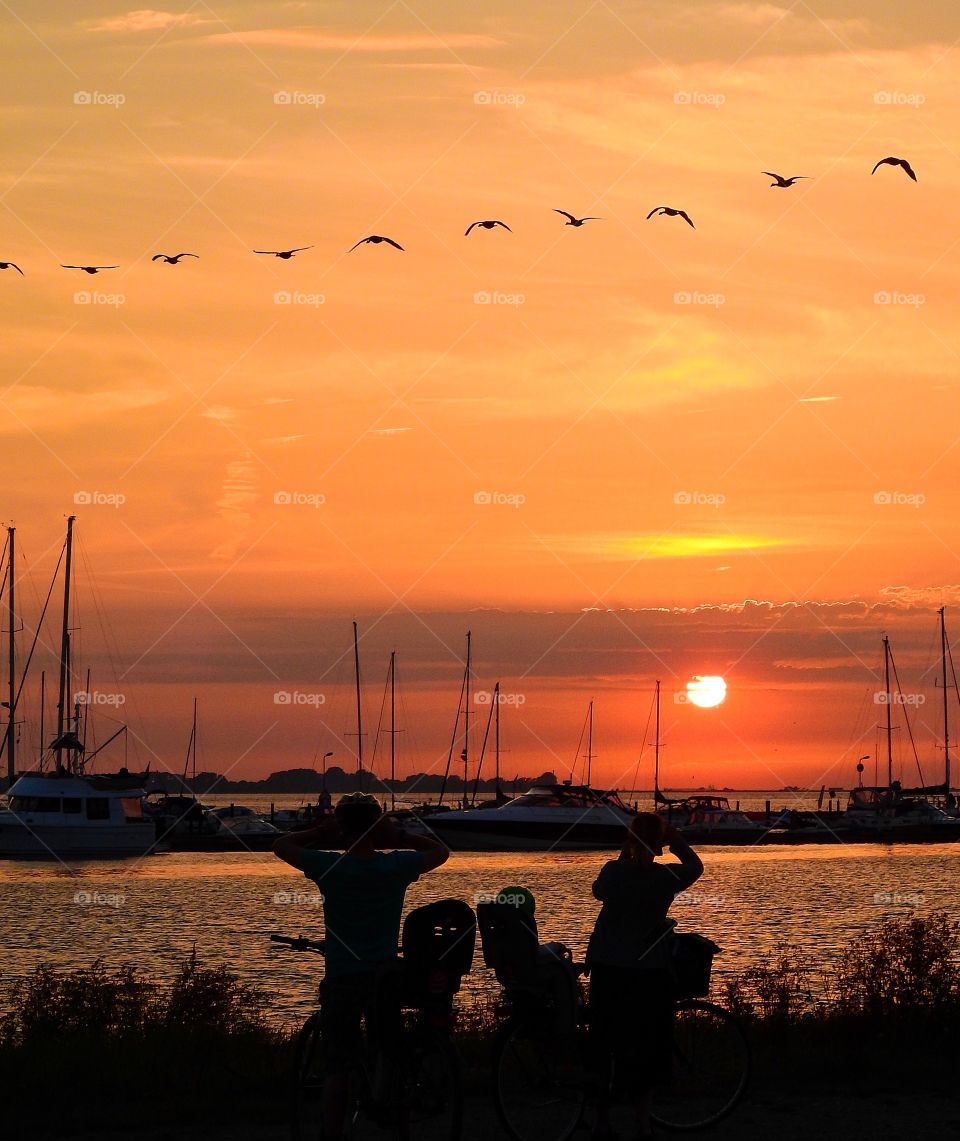 View of nature during sunset