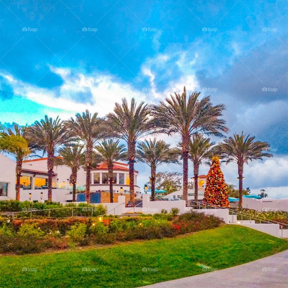 Carlsbad Golf Resort. The image was dull and drab when I shot it as it was a cloudy and windy day. I wanted to bring somewhat of an unrealistic color scheme to this because it was Christmas and we all know that Christmas is such a colorful time 
