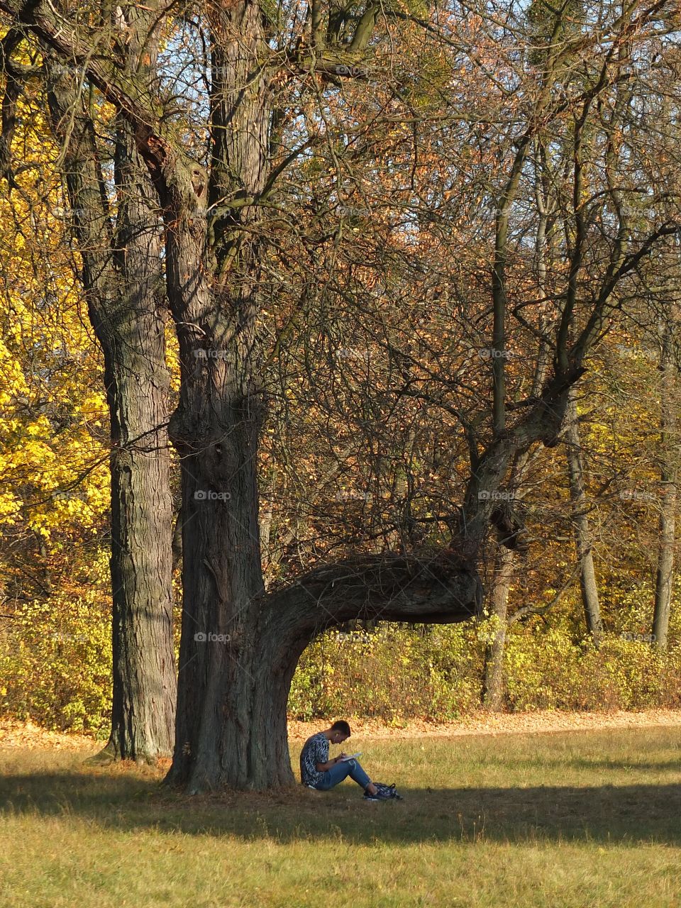 Autumn time! Time to create! A guy sitting under a tree in an autumn park. He writes, maybe draws or composes music.