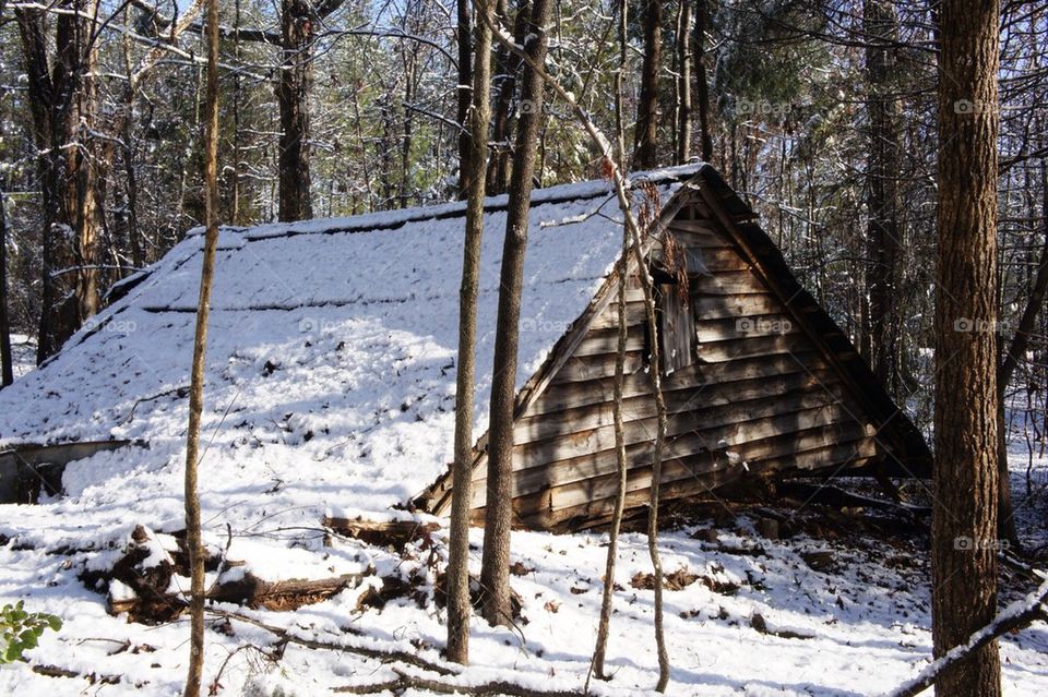 Forgotten Barn