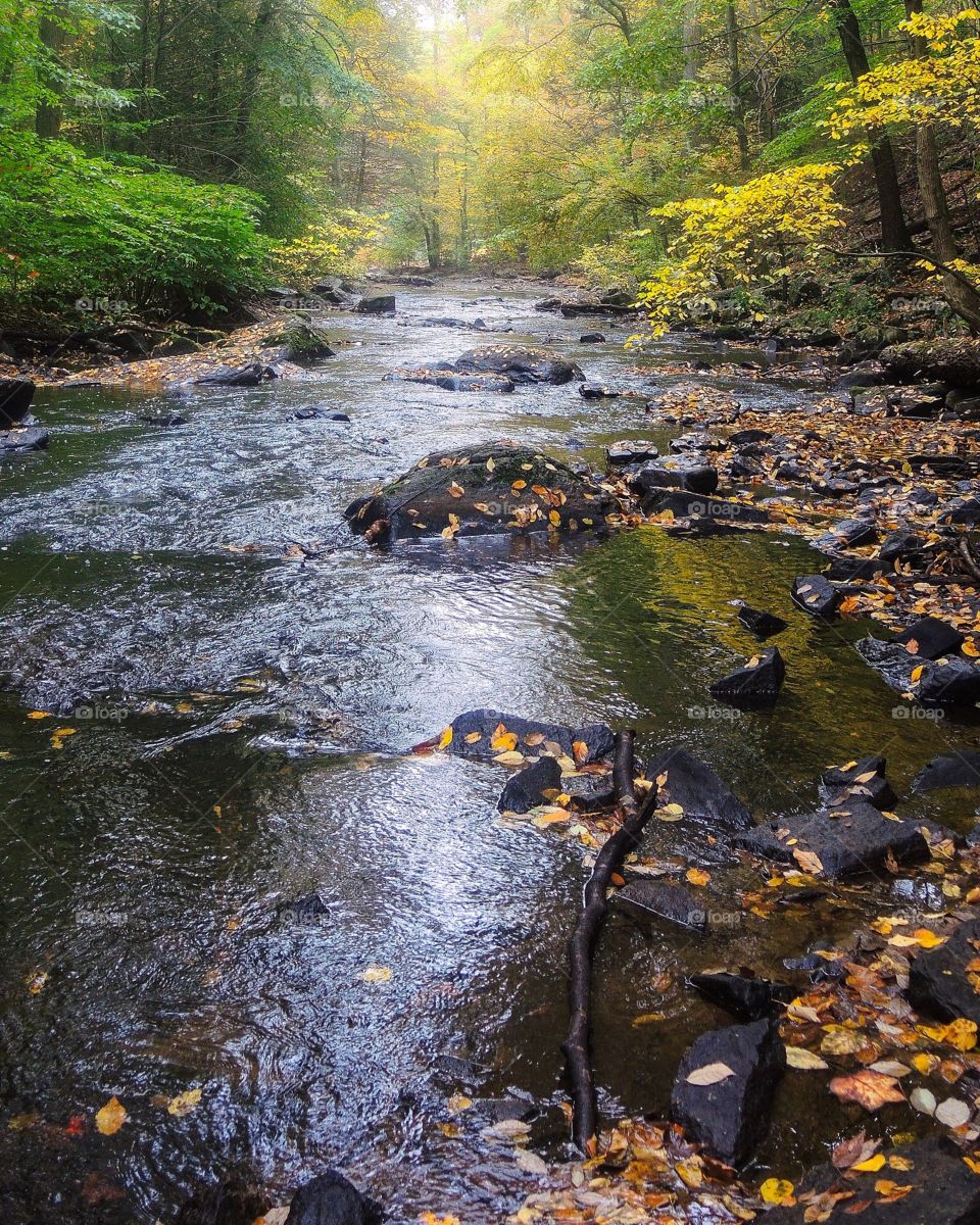 Downstream in fall