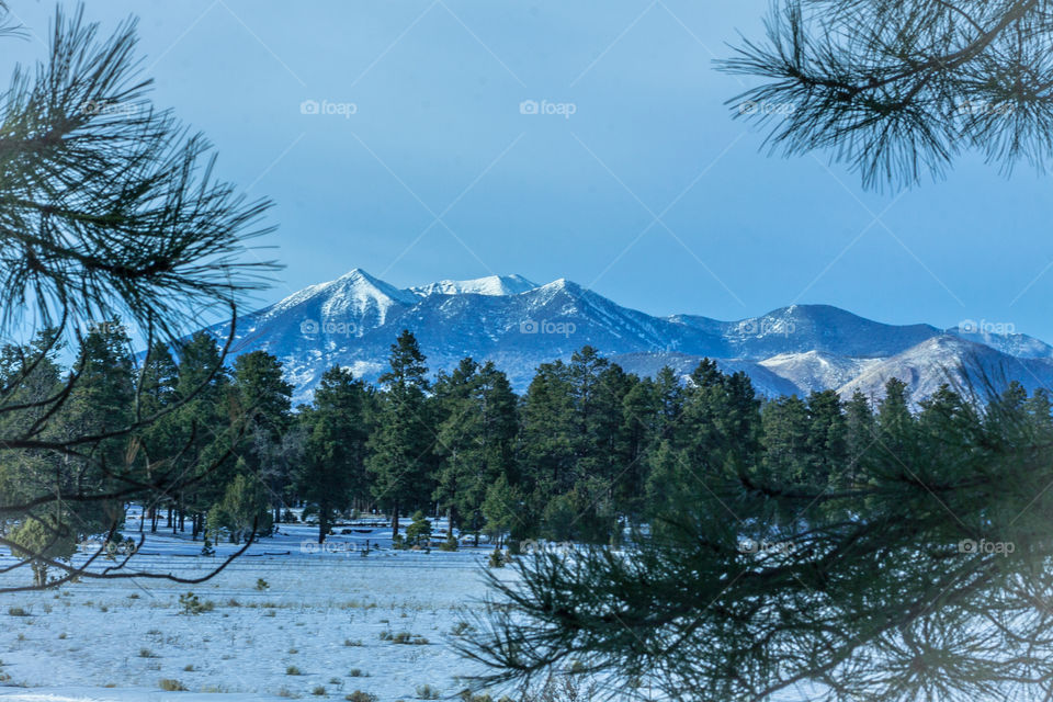 View from marshall lake in winter