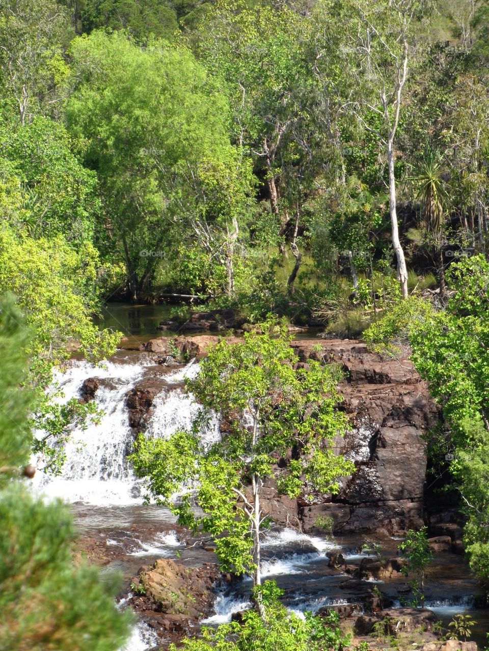 Florence Falls Litchfield National Park 