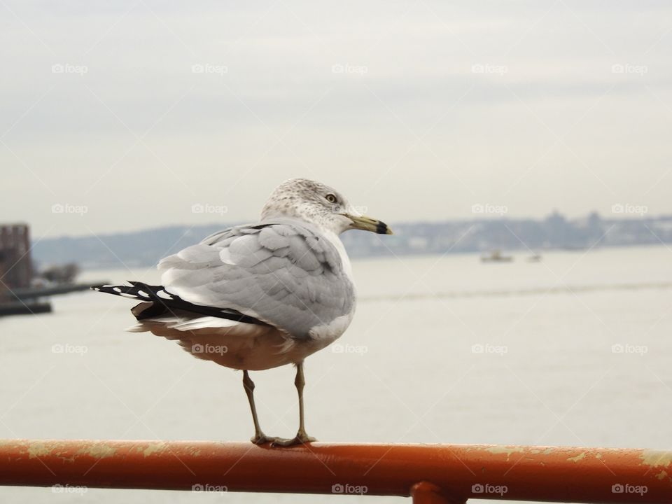 Choosing your next landing