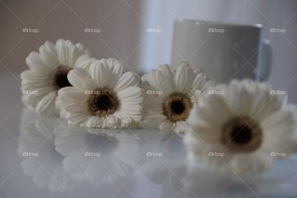 White flowers on white tabletop 