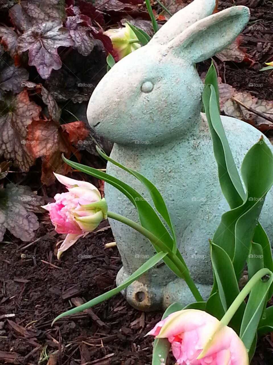 A weathered rabbit statue guards the spring tulips in the flower garden.