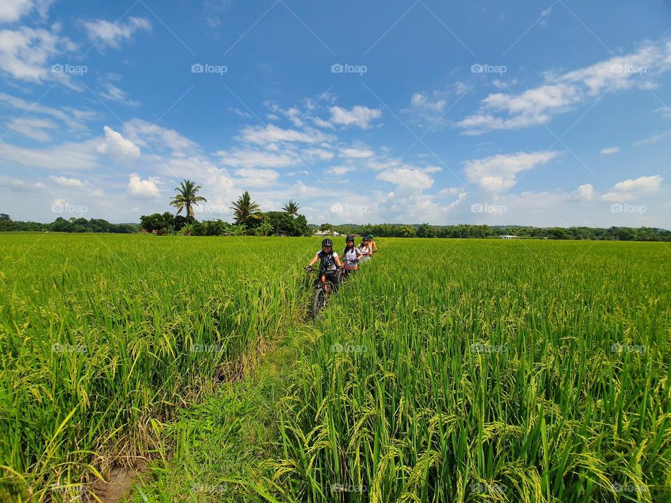 Cycling in the field 