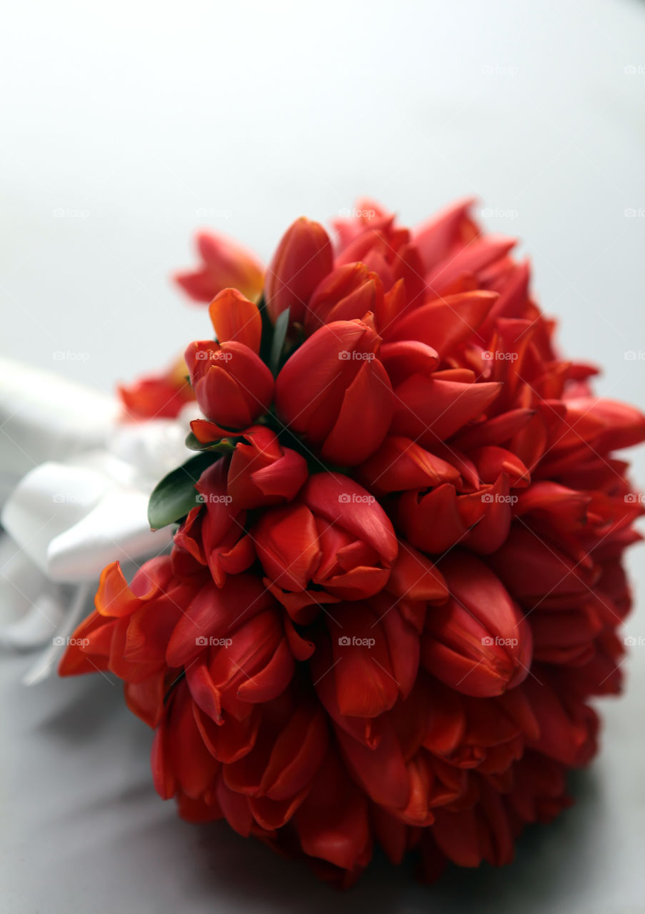 Bouquet of red tulips