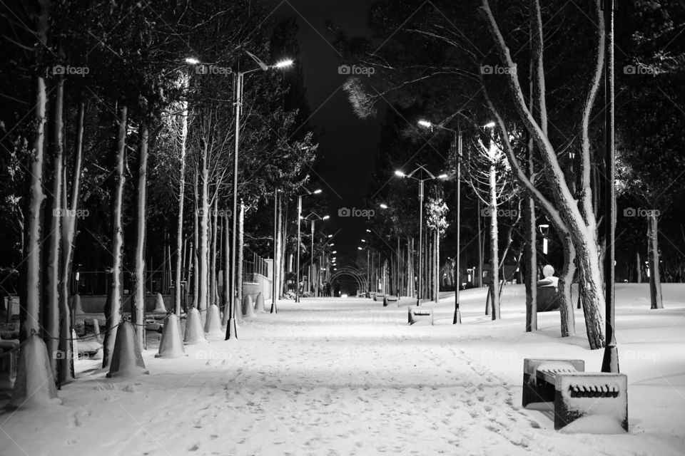 Perspective and street lamps winter landscape 