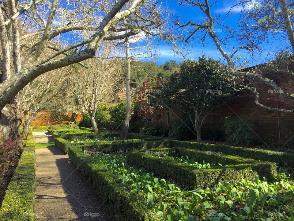 Garden pathway at Filoli House and Gardens in Woodside, California.