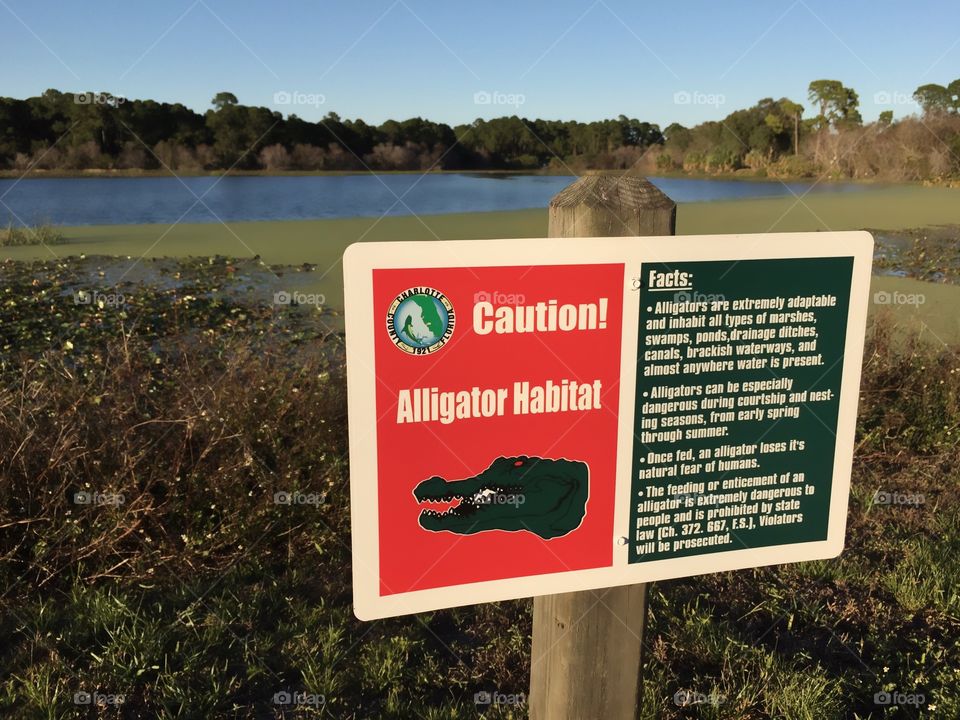 Bright rectangular warning sign alerting the presence  of Alligator Wetland Habitat.