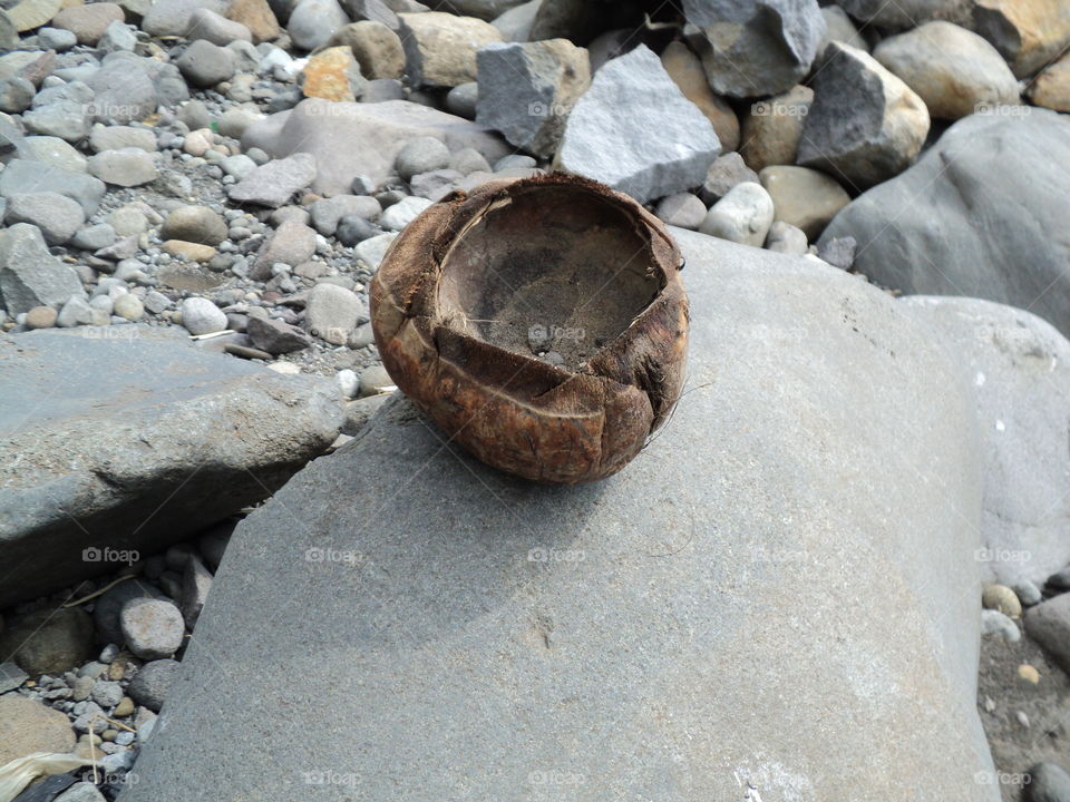 coconut peel on river stone