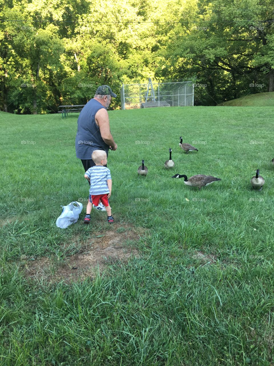 Feeding the ducks 