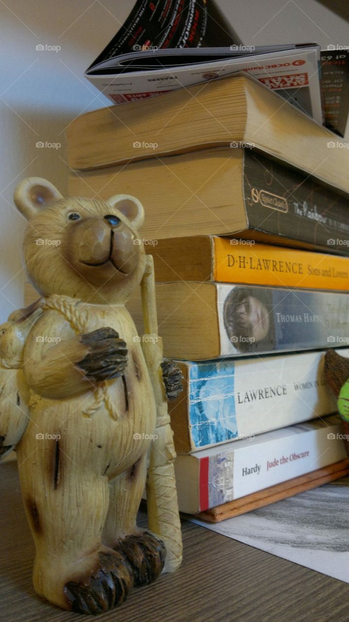 Yogibear keeps a sharp watch