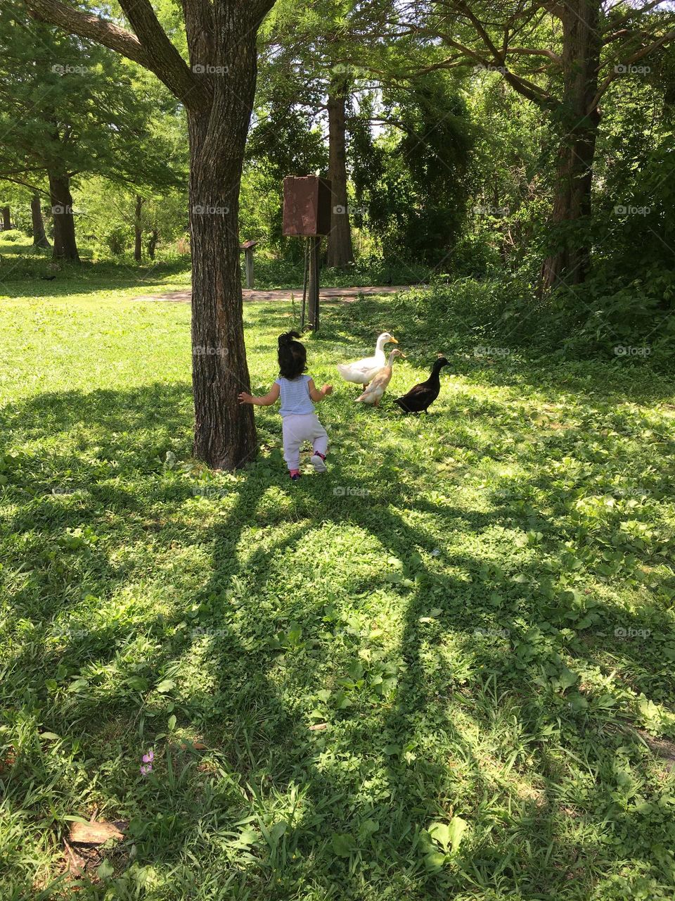 Walking through the grass , little baby 
