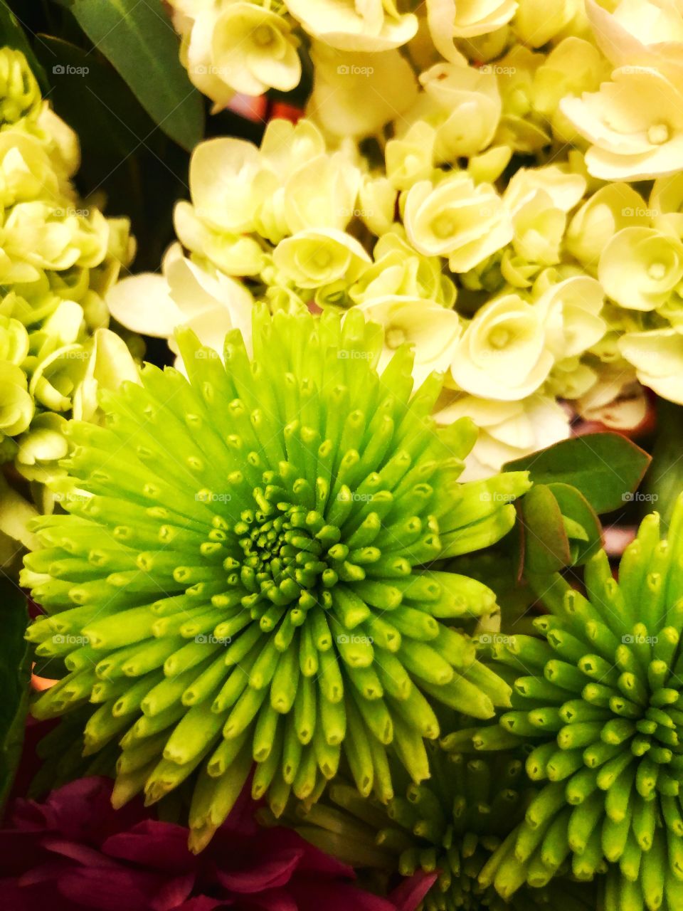 Flowers green mums white hydrangeas floral bouquet 