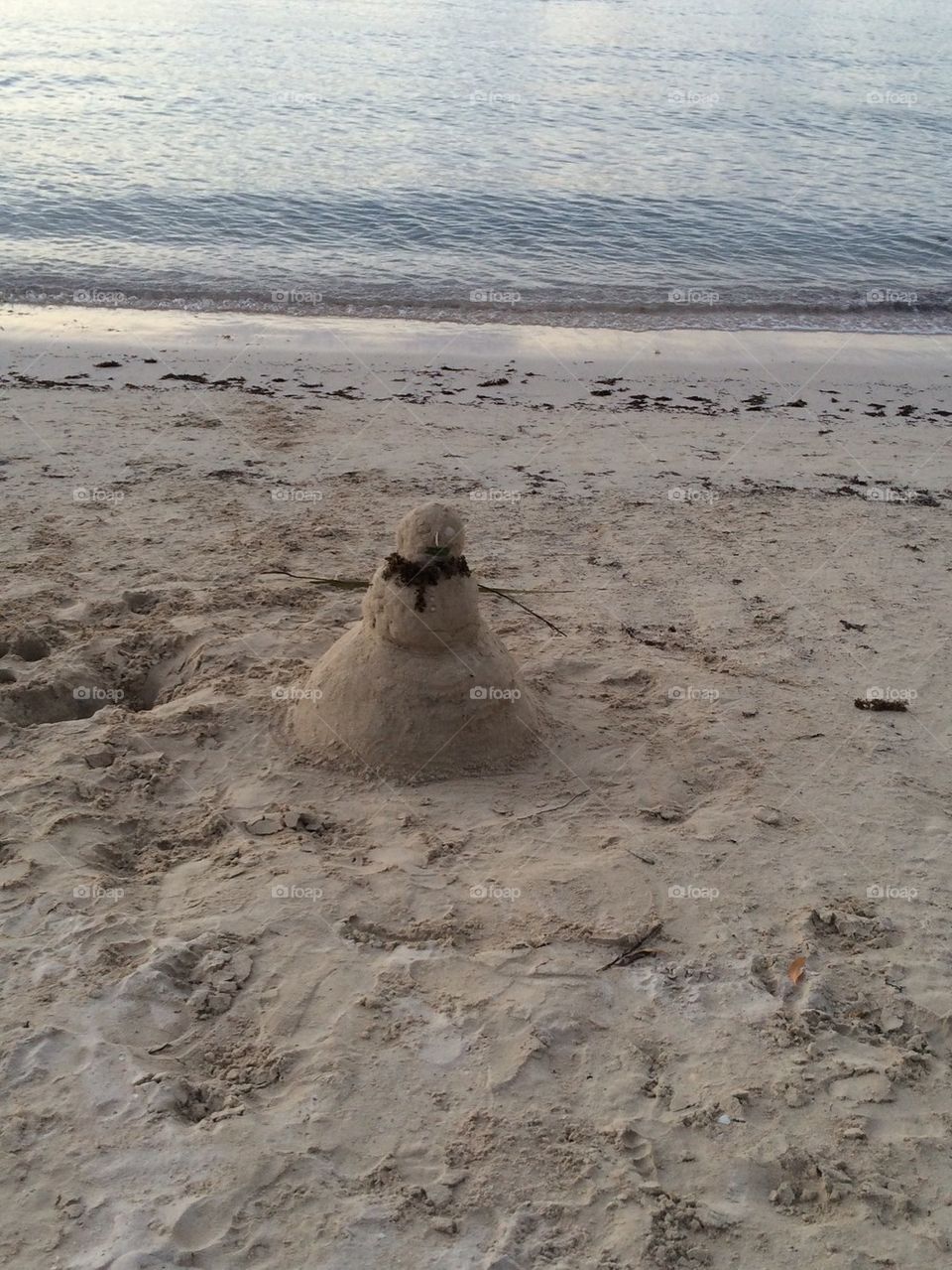 Sandy the Snowman 