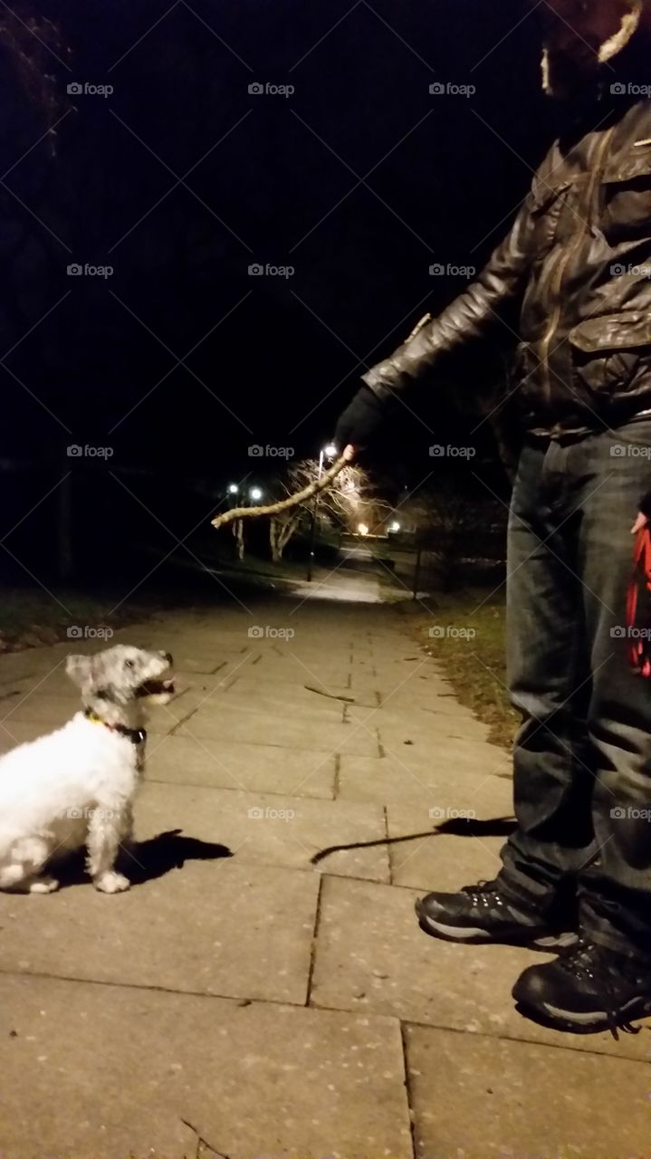 One, People, Dog, Adult, Man