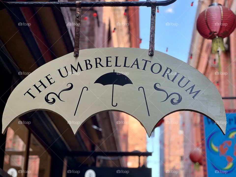 Umbrellas 
