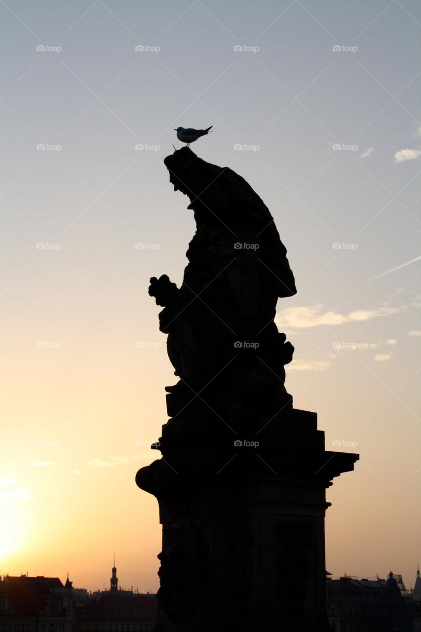 Bird on a Charles Bridge statue at sunset