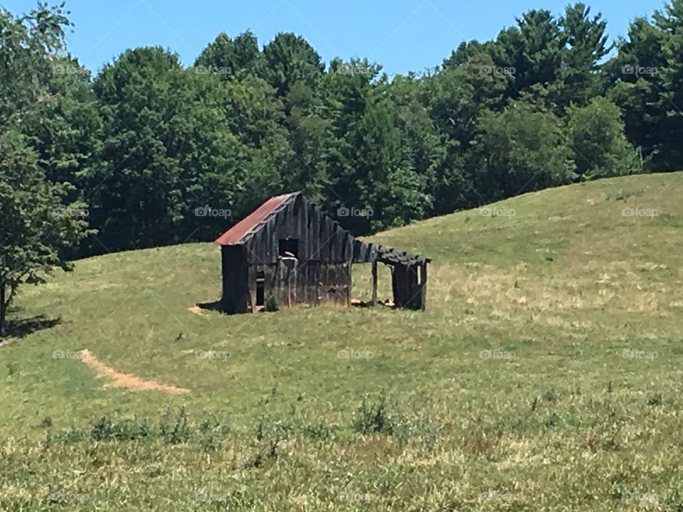 Summer Barn 