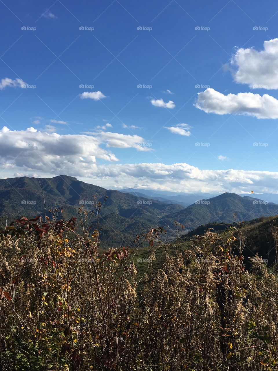 Blue ridge mountain tops