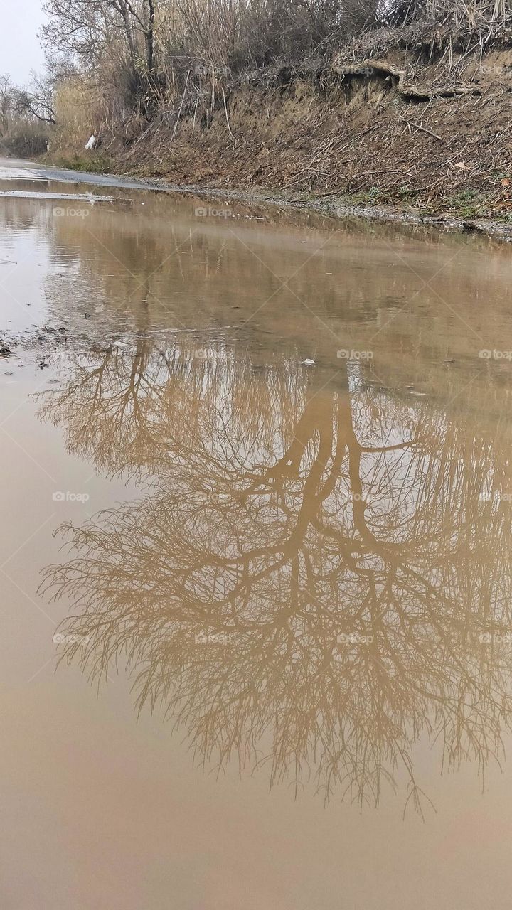 The rain and Its reflections