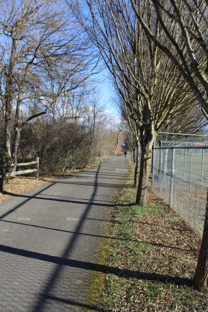 Walk in the afternoon 