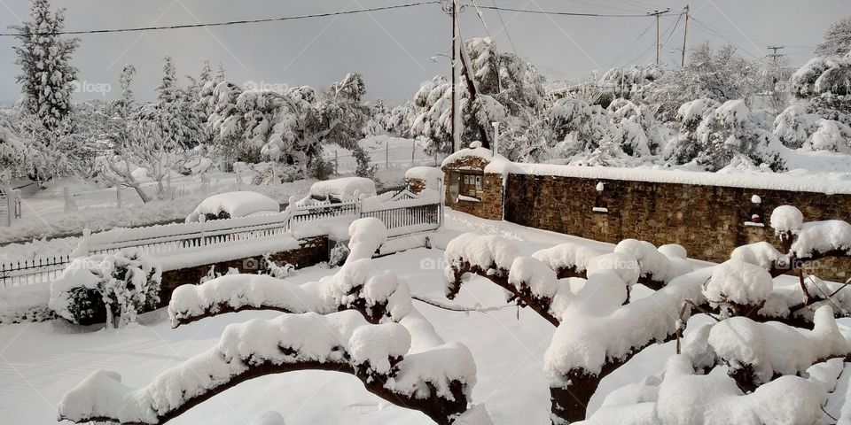 snow landscape