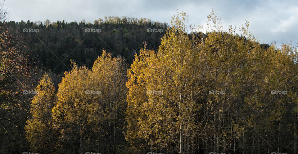 Promenade dans le Doubs