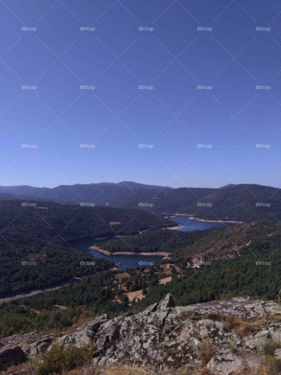 Battle: Countryside vs City