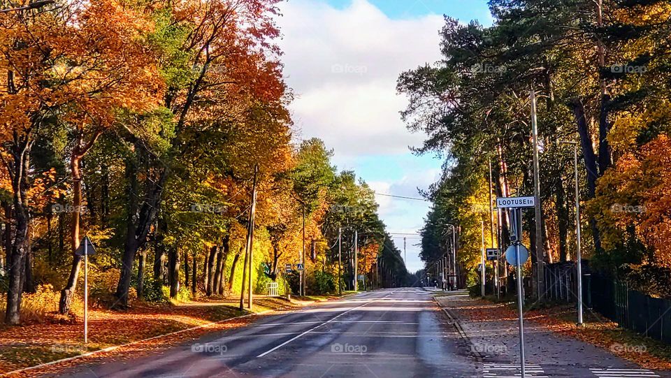 Welcome to the autumn🍂🍁 Wonderful way🍂🍁 Fall landscape🍂🍁