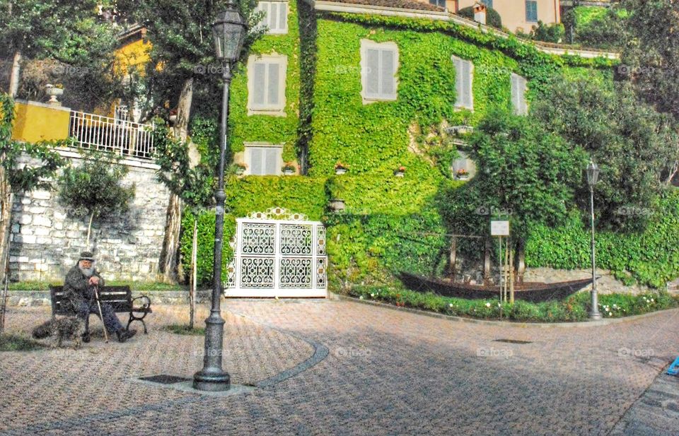 Old man and his dog. A scruffy gentleman and his dog sit on s park bench beside an ivy covered Italian villa
