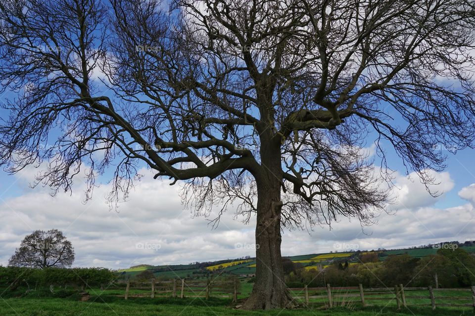 View of nature