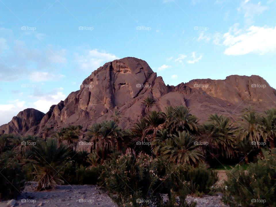 fint ouarzazate oasis