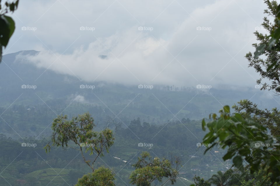 Misty mountains and forest been touched by white beauty #clouds