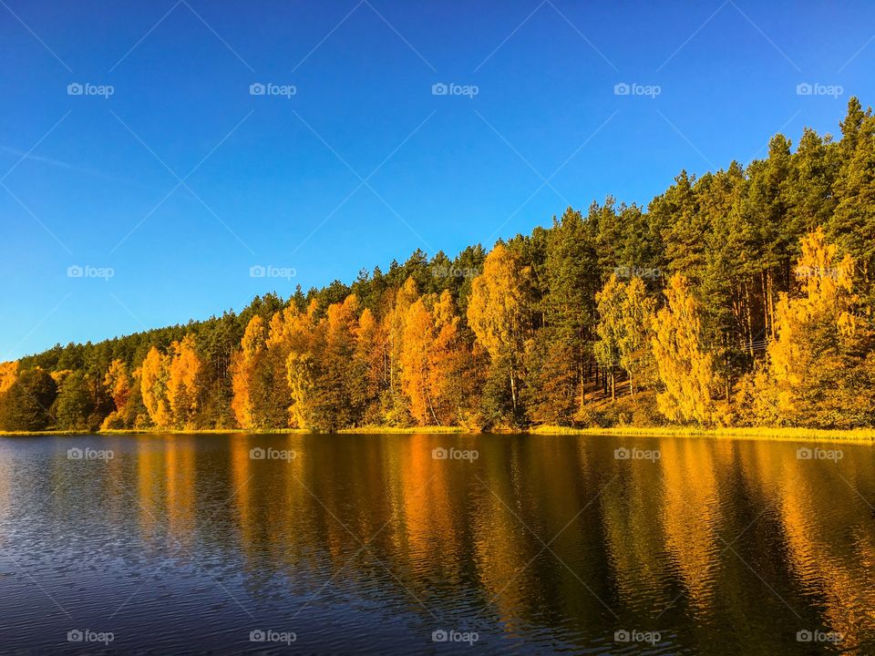 Fall, Lake, No Person, Landscape, Tree