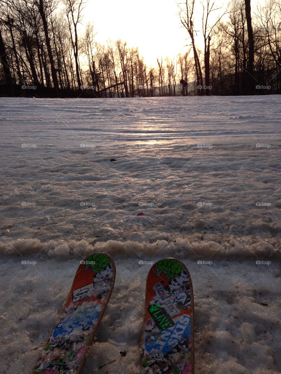 Skis on snow. Skis at dusk 