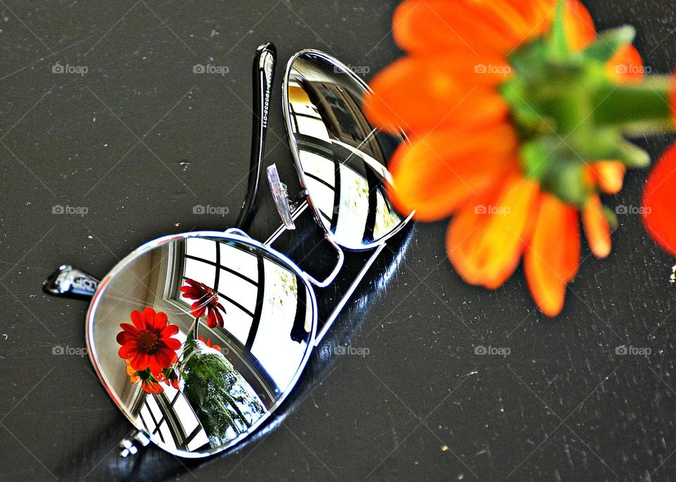 A reflection of a magnificently colored swamp daisy flower is reflecting off a pair of reflective lenses. 