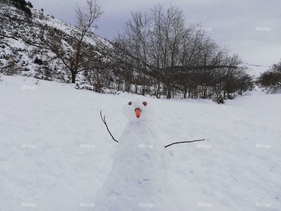 A snowman in the woods