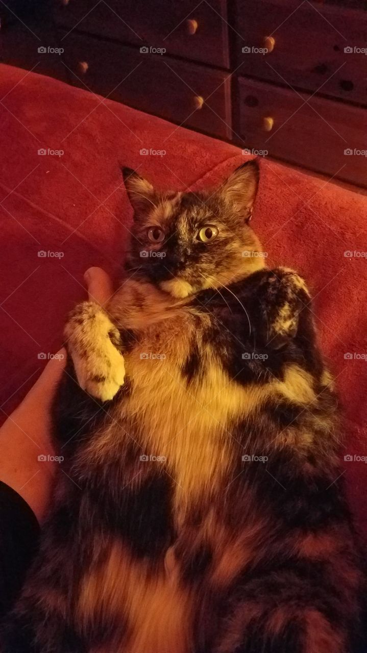 Getting ready to relax