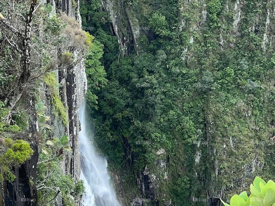 Mtarazi Falls Skywalk Zimbabwe 🇿🇼