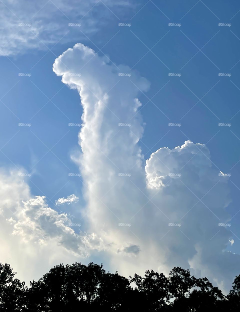 Camel shaped cloud