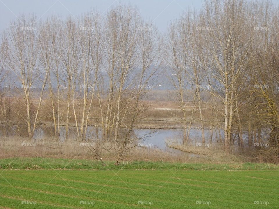 alone looking all around