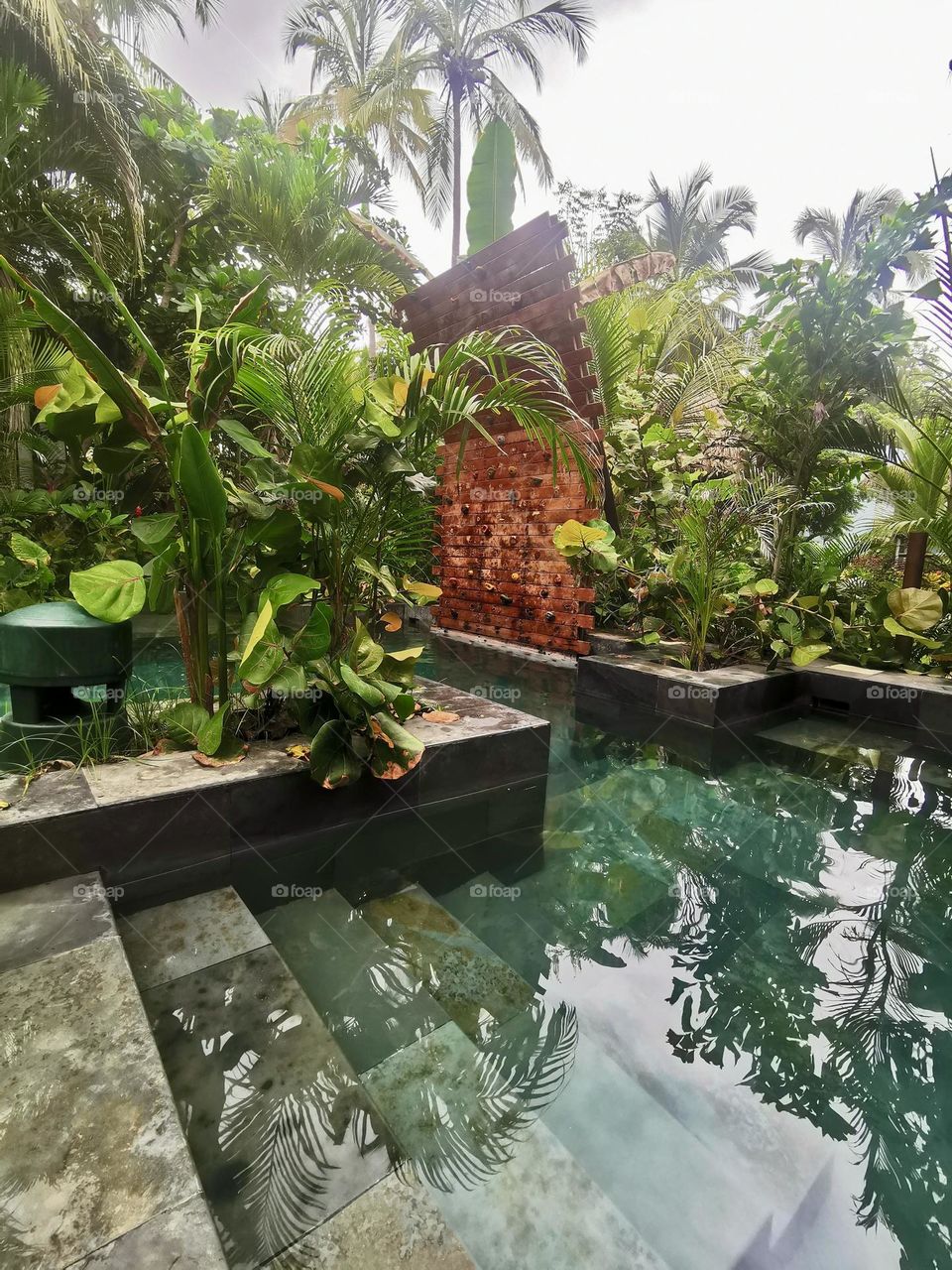 Plants and pool on the earth day