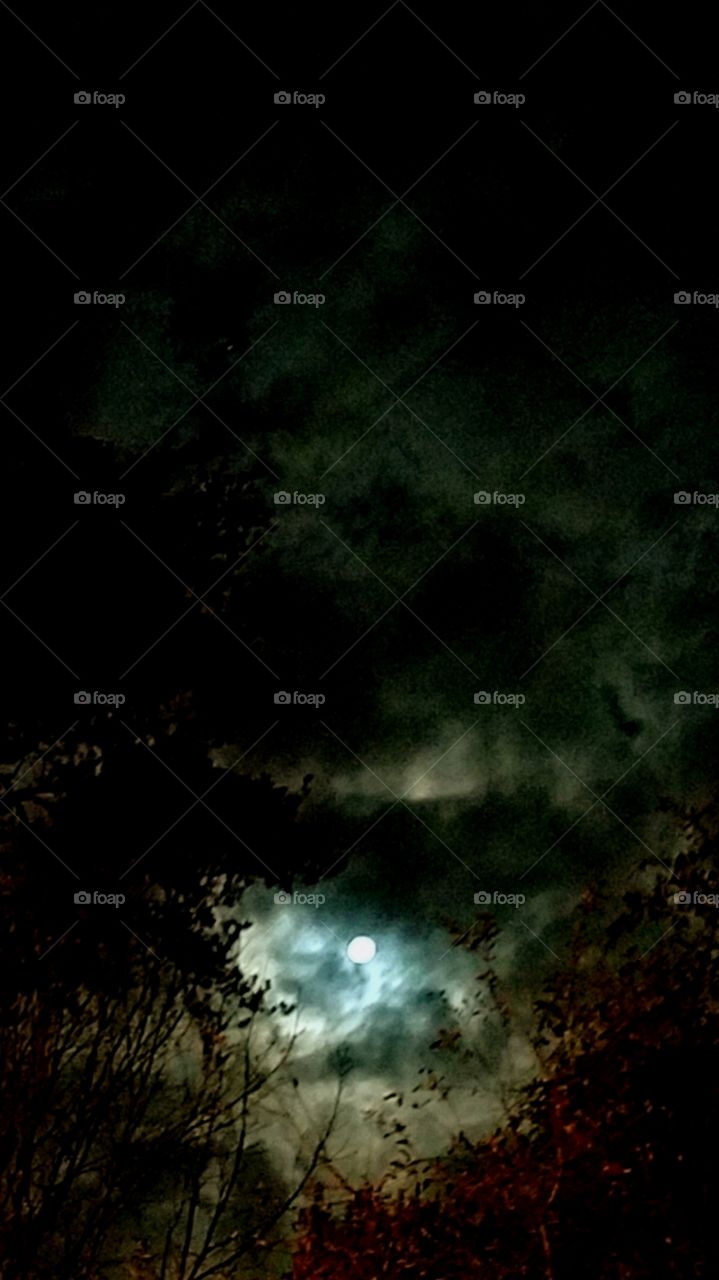 I see the moon and the moon sees me God bless the moon and God bless me