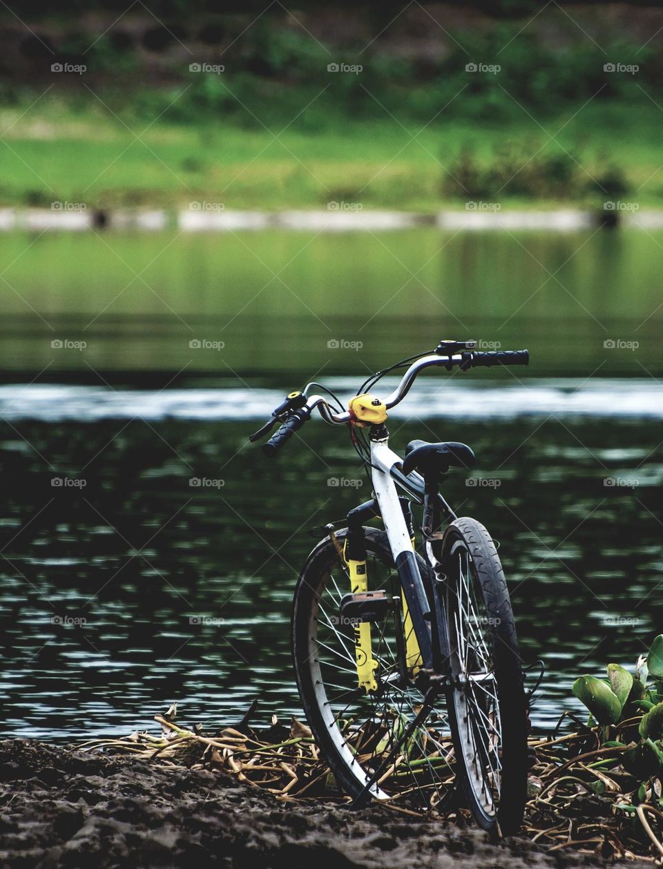 Bicicleta "descansa" próxima ao leito do rio.