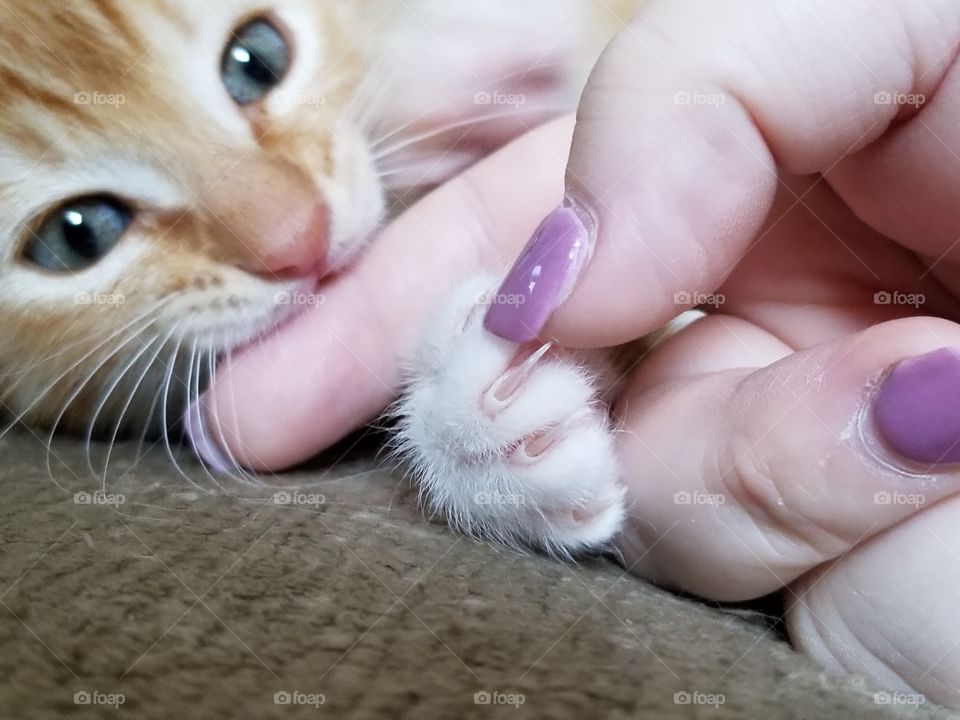 Watch out mommy! I haz a fierce!