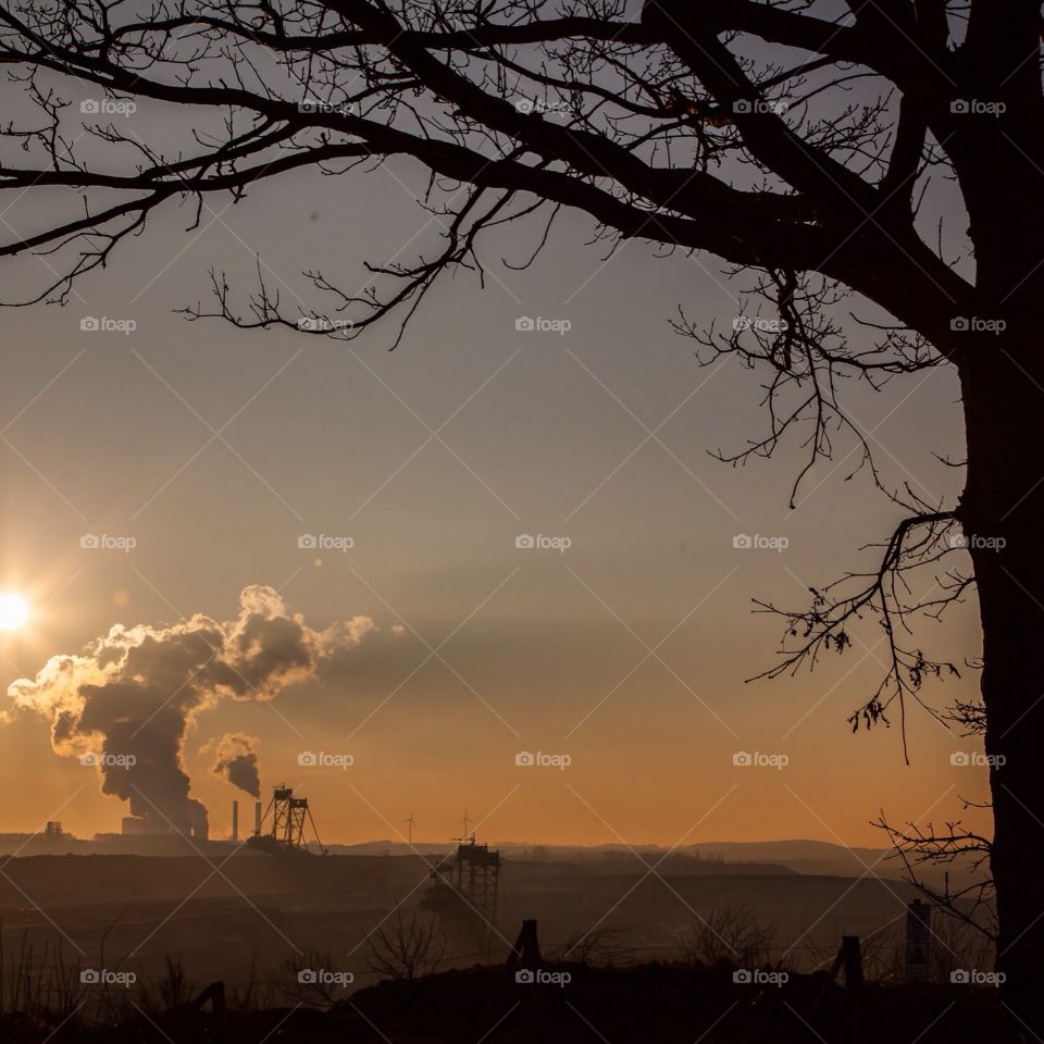 Coal power plant smoke clouds and tree silhouette 